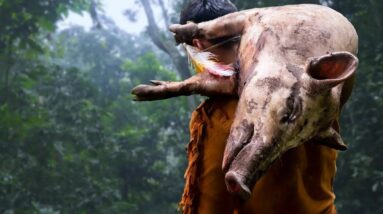 Live 24h - One Year Survival Challenge In The Jungle - Survival Challenge