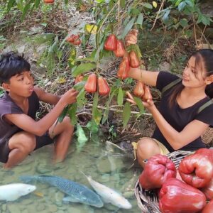 Catch Red fish and pick Rose Apple fruit for survival food, Fish roast with Chili sauce for dinner