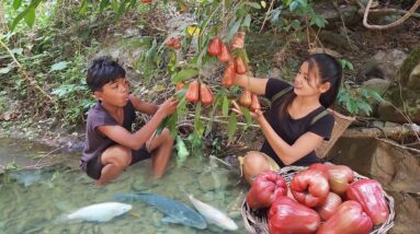 Catch Red fish and pick Rose Apple fruit for survival food, Fish roast with Chili sauce for dinner