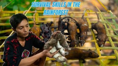 Survival Skills In The Rainforest (No Food, No Water, No Shelter) Survival Challenge #2