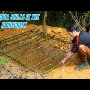 Survival Skills In The Rainforest (No Food, No Water, No Shelter) Survival Challenge #3