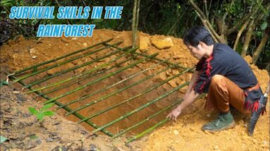 Survival Skills In The Rainforest (No Food, No Water, No Shelter) Survival Challenge #3