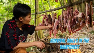 Survival Skills In The Rainforest (No Food, No Water, No Shelter) Survival Challenge #5