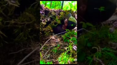 Stealth Shelter and 🔥