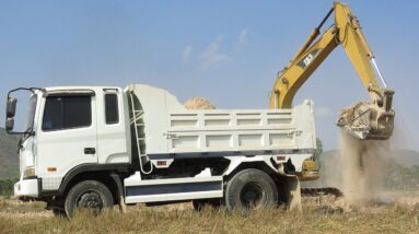 Excavator In Rice Field | Caterpillar 311B Excavator Loading Mercedes And MAN Trucks