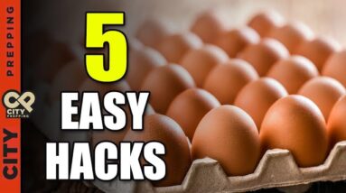 5 Ways To Store Eggs - No Refrigerator!