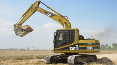 Caterpillar 311B Excavator Loading Mercedes | Land Trucks, Rice Field