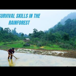 Survival Skills In The Rainforest (No Food, No Water, No Shelter) Survival Challenge #7