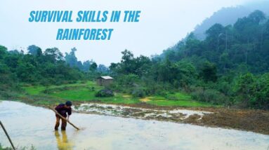 Survival Skills In The Rainforest (No Food, No Water, No Shelter) Survival Challenge #7