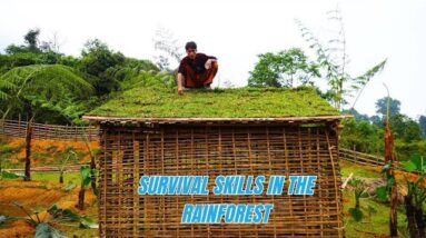 Survival Skills In The Rainforest No Food, No Water, No Shelter Survival Challenge #8