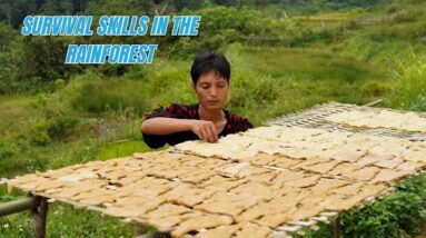 Survival Skills In The Rainforest No Food, No Water, No Shelter Survival Challenge #15