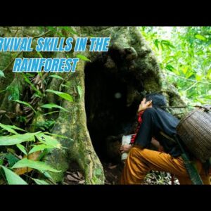 Survival Skills In The Rainforest No Food, No Water, No Shelter Survival Challenge #16