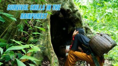 Survival Skills In The Rainforest No Food, No Water, No Shelter Survival Challenge #16