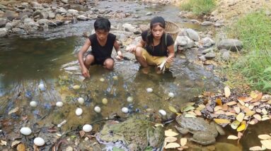 Adventure, Catching Many frogs and cooking curry with egg for jungle food