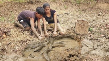 Adventure in forest: Amazing catch fish Underground hole and Cook for survival food