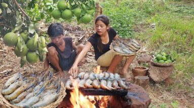 Pick natural green oranges and Lobster grilled on the rock, Eating delicious in forest