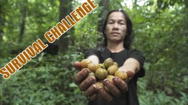 SURVIVAL CHALLENGE: (No Food, No Water, No Shelter) With Only 1 Knife To Survive In The Forest - #26