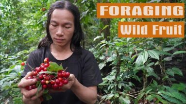 SURVIVAL CHALLENGE: (No Food, No Water, No Shelter) With Only 1 Knife To Survive In The Forest - #27