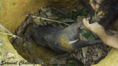 SURVIVAL CHALLENGE: (No Food, No Water, No Shelter) With Only 1 Knife To Survive In The Forest - #30