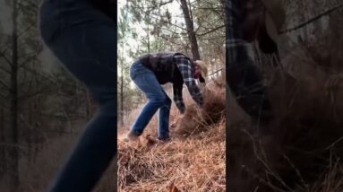 Grid Down Emergency Shelter