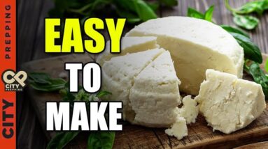 How to Make Cheese with 3 Simple Ingredients