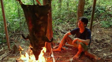 Live 24h -  Survival Skills In The Rainforest - No Food, No Water, No Shelter Survival Challenge