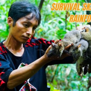 Survival Skills In The Rainforest No Food, No Water, No Shelter Survival Challenge #18