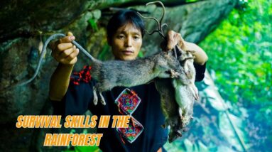 Survival Skills In The Rainforest No Food, No Water, No Shelter Survival Challenge #19