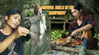 Survival Skills In The Rainforest No Food, No Water, No Shelter Survival Challenge #20