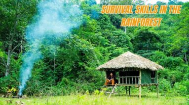 Survival Skills In The Rainforest No Food, No Water, No Shelter Survival Challenge #21