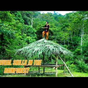 Survival Skills In The Rainforest No Food, No Water, No Shelter Survival Challenge #22
