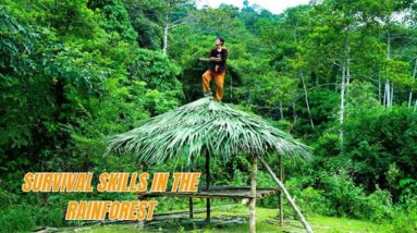 Survival Skills In The Rainforest No Food, No Water, No Shelter Survival Challenge #22
