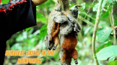 Survival Skills In The Rainforest No Food, No Water, No Shelter Survival Challenge #23