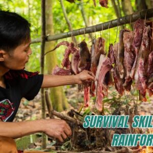 Survival Skills In The Rainforest No Food, No Water, No Shelter Survival Challenge #24