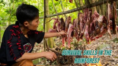 Survival Skills In The Rainforest No Food, No Water, No Shelter Survival Challenge #24