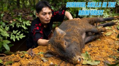 Survival Skills In The Rainforest No Food, No Water, No Shelter Survival Challenge #27