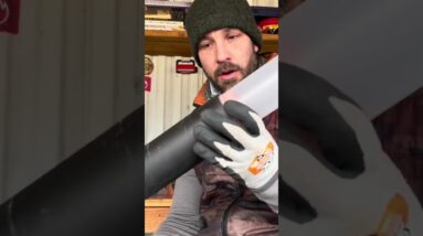 Top 5 Items To Survive