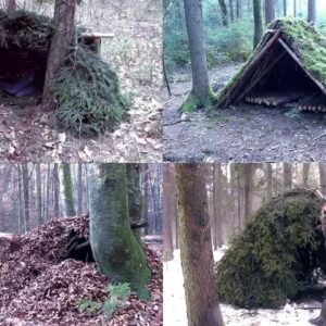 Which type of survival shelter is the best?