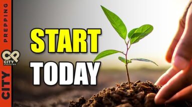 10 Vegetables You Need To Plant In April 2024