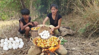 Pick duck egg and wild oranges for food in jungle - Cooking egg for dinner