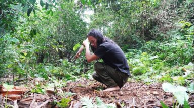 SURVIVAL CHALLENGE: (No Food, No Water, No Shelter) With Only 1 Knife To Survive In The Forest - #33