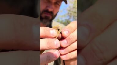 Modern David Vs Goliath | Do We Stand A Chance