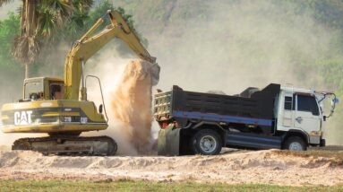 Using Caterpillar 311B excavator loading in dry season in the field _ Truck lands