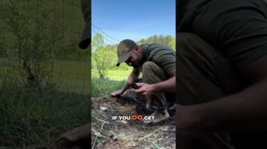 DON'T Suck Out Snake Venom | Survival Myths