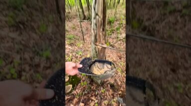 Fire Crafting Geniuses!