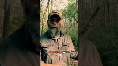 Infrastructure Repair | Preps You Don't Consider @SurvivalDispatchNews is our new channel!