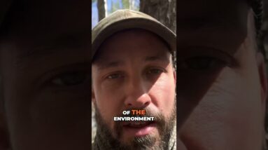 Simplify and Streamline Your EDC