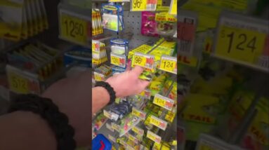 What Bait Colors ALWAYS Work? @SurvivalDispatchNews is our new channel!