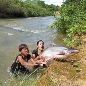 Survival in the rain forest, Meet 10 Kg Big fish  for survival food- Cooking big fish Delicious food