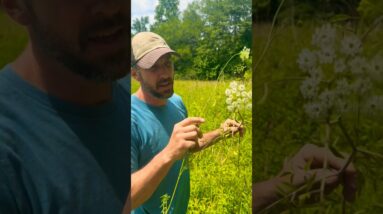 This is one of the deadliest plants on Earth!